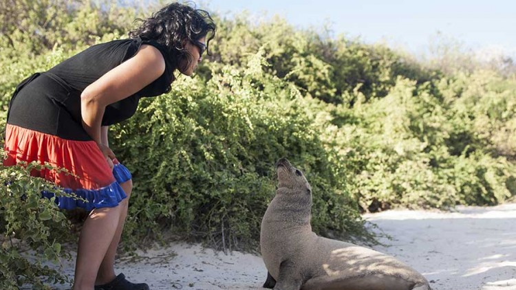 The Galapagos Islands