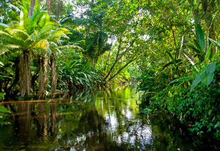 ecuador-amazon-description-01