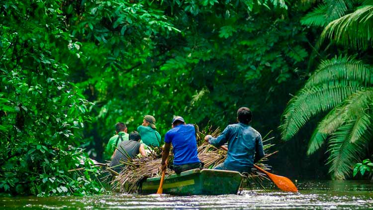 Amazon River Exploration Peru