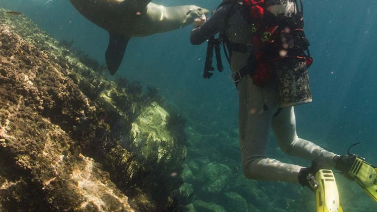 faa-galapagos-watersport-snorkeling