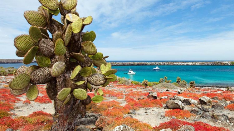 faa-galapagos-wonder-islands