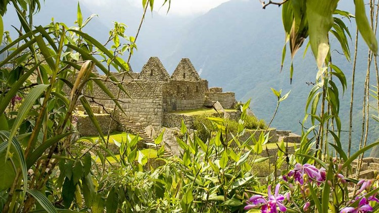 Machu Picchu Magical Experience