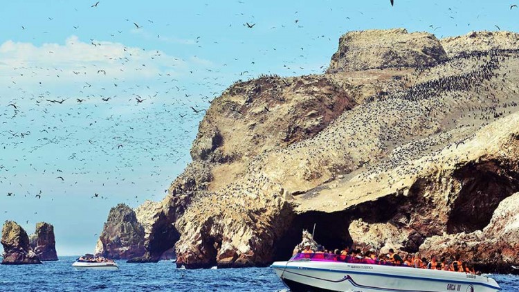 faa-paracas-boat-excursions