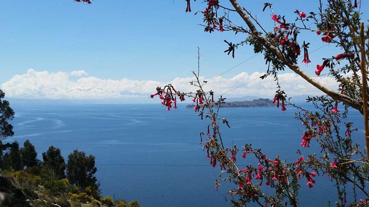 faa-titicaca-isla-del-sol