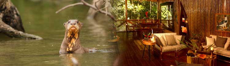 Lodges in Tambopata