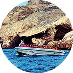 ico-paracas-boat-excursions