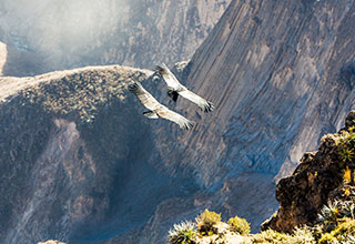 peru-arequipa-colca-canyon-description-01