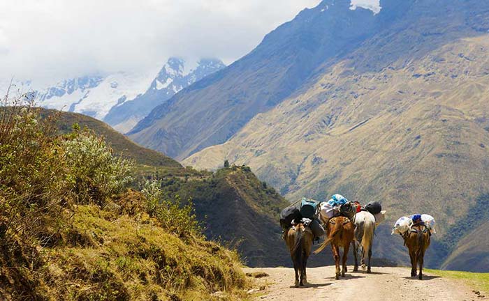 Horse accompanying the trekkers hiking the Salkantay trek to Machu Picchu