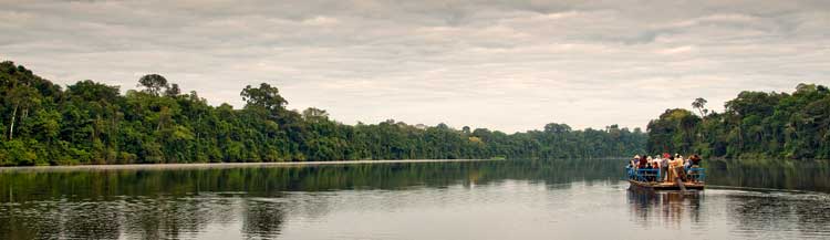 amazon-lodge-tambopata