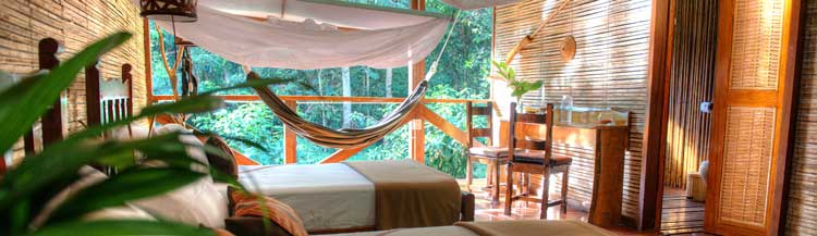 amazon-lodge-tambopata