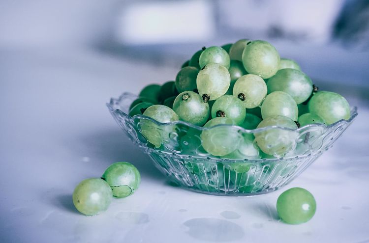 kuoda-blog-eating-grapes-tradition-new-years