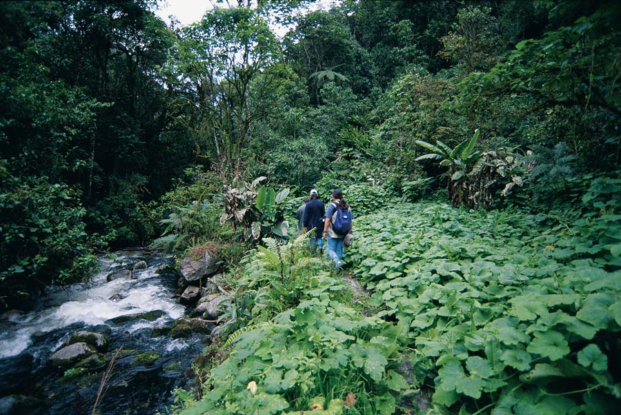 kuoda-blog-inkaterra-machu-picchu-jungle-excursions