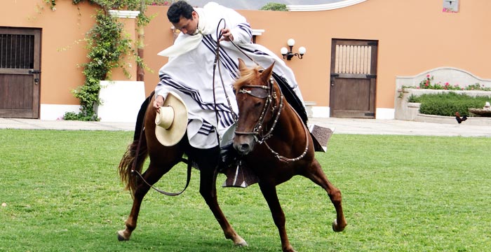 paso-horse-lima