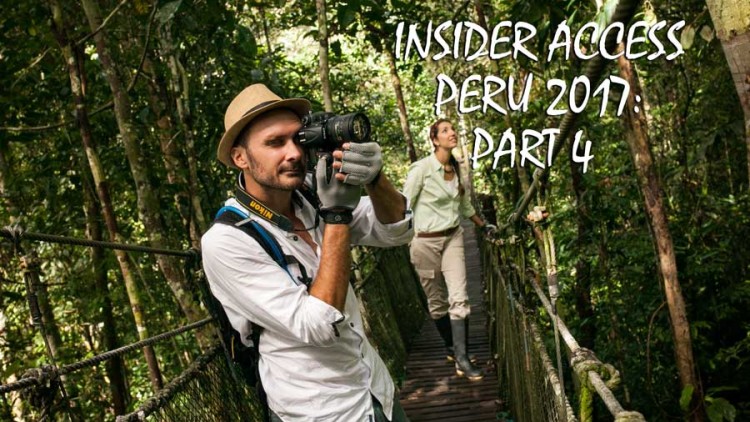 Insider Access Series, Part 4: Archaeology & Nature Tours in Peru