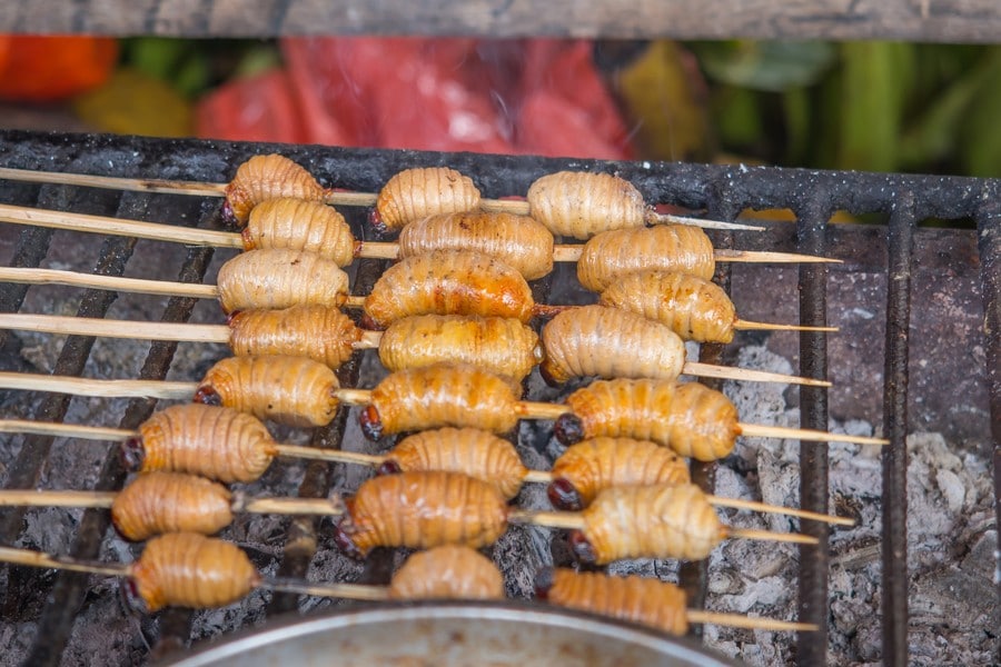 street-food-suri-iquitos-peru