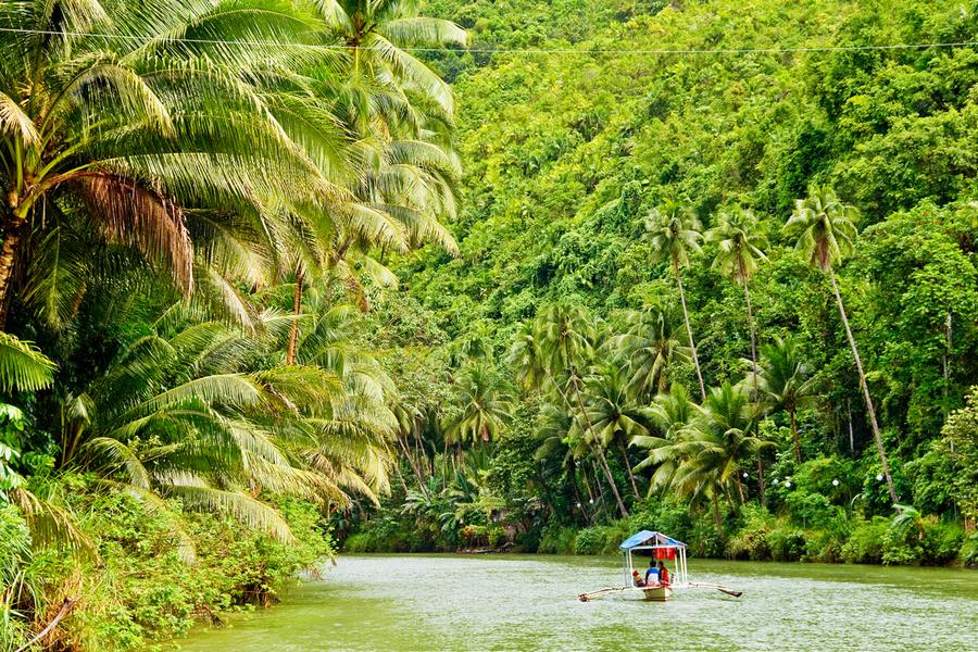 the-amazon-river-travel-pink-dolphin