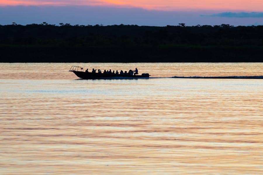 the-amazon-river-travel-pink-dolphin2