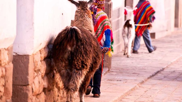 Cultural Differences: Peru vs. United States