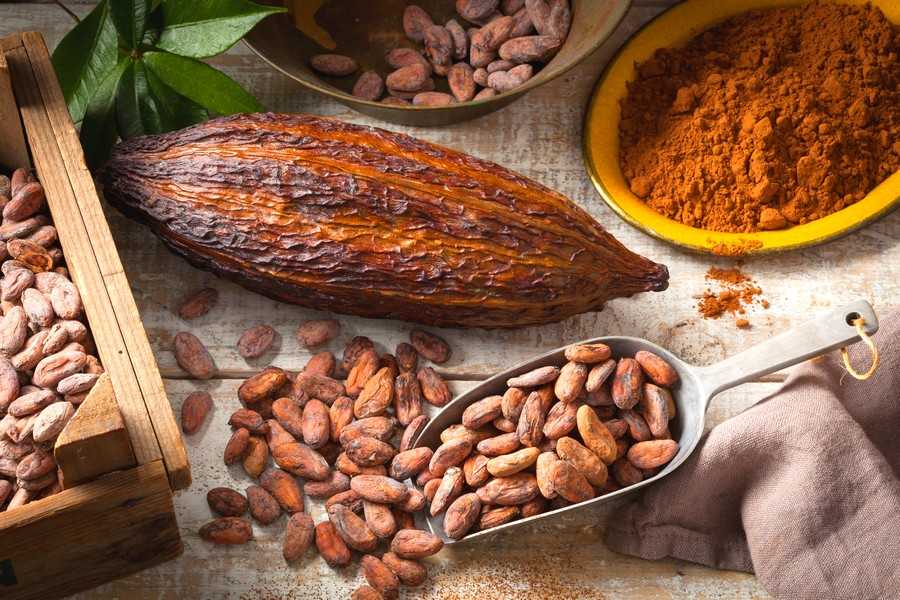 cacao-super-food-peru