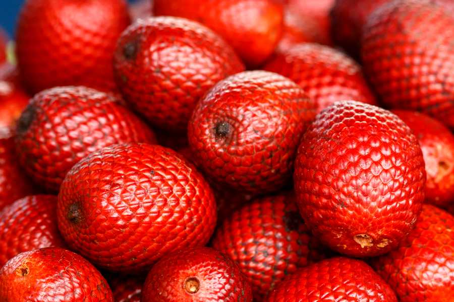 3-Exotic-Fruits-To-Try-When-You-Visit-Peru-aguaje