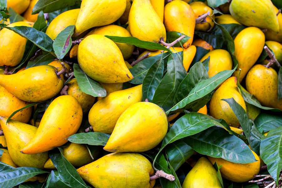 3-Exotic-Fruits-To-Try-When-You-Visit-Peru-lucuma