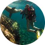 ico-galapagos-sensational-snorkeling