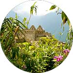 ico-machu-picchu-magical-experience