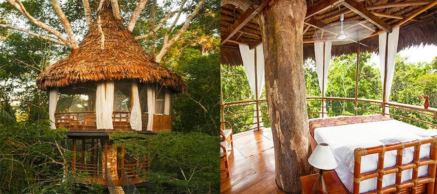 unique-stays-peru-luxury-meets-adventure-travel-tree-house-lodge