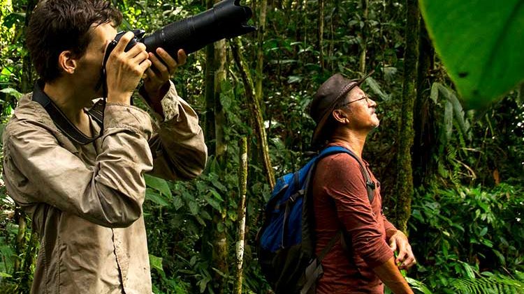 4 Tips For Photographing Birds in the Rainforest on Your Private Amazon Tour