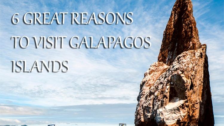 Top Six Things to Do While Visiting the Galapagos Islands