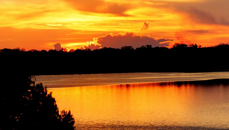 Bolivia Amazon