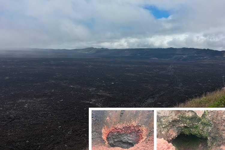 Volcano Sierra Negra, Galapagos