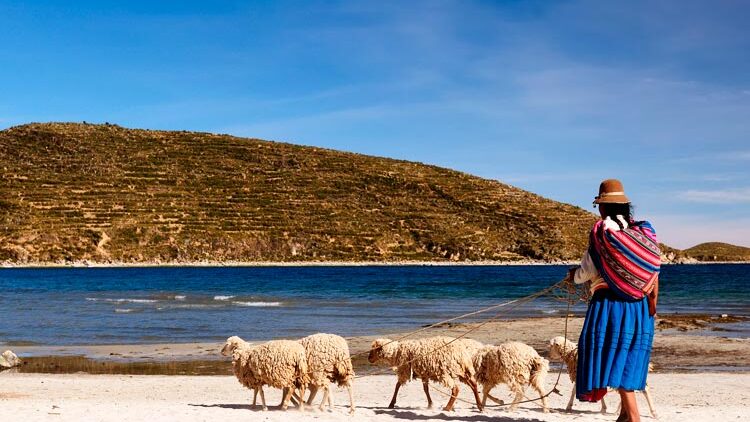 The Wondrous Wildlife of Lake Titicaca in Peru and Bolivia