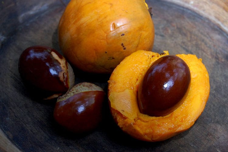 Lucuma