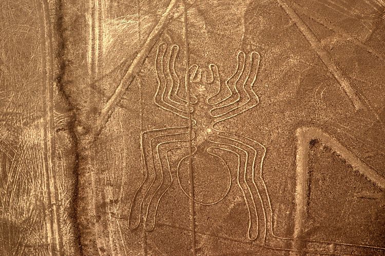 Nazca Lines, Spider