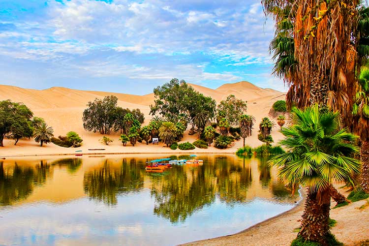 Huacachina Oasis