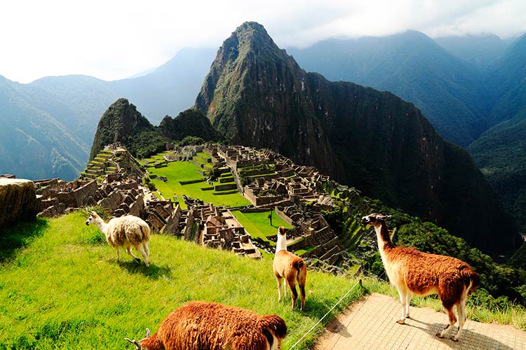 Machu Picchu