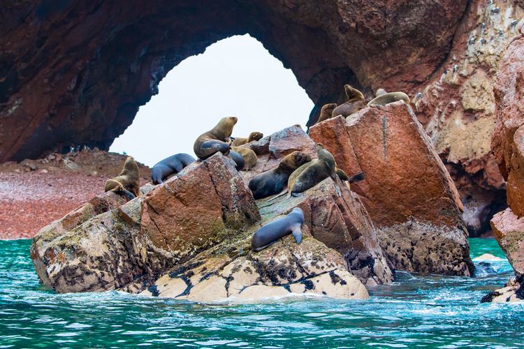 Ballestas Island