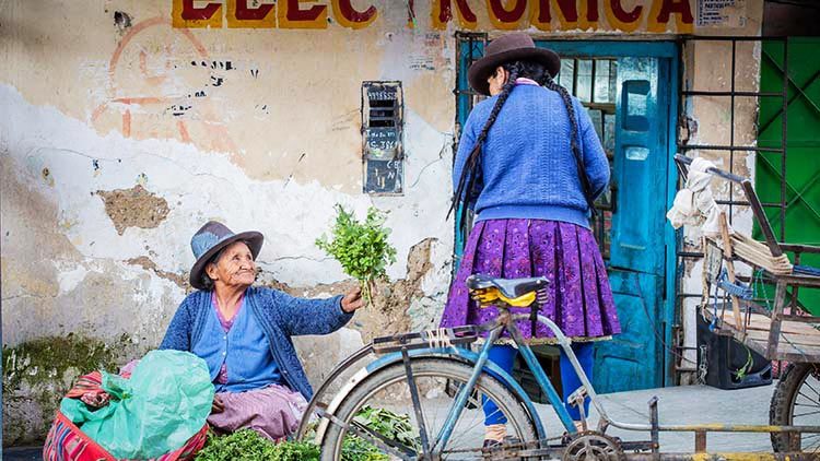 Andean Herbal Teas to try on your Private Peru Holiday