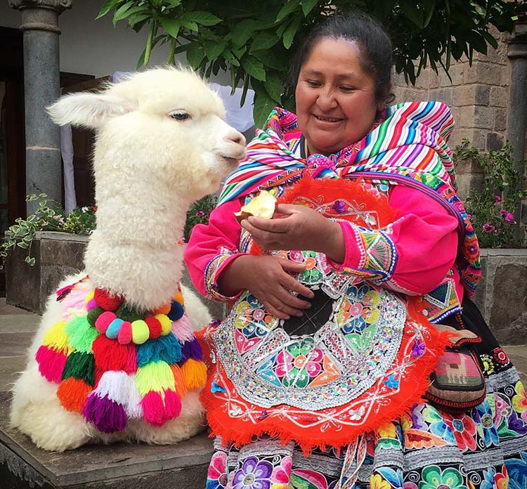 llama native woman