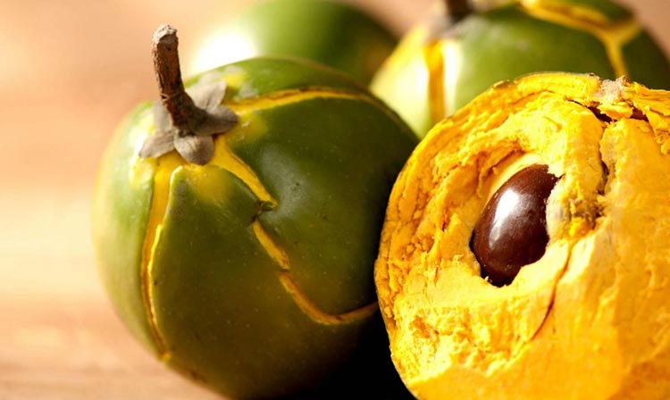 Peruvian fruits lucuma