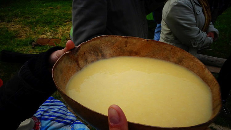 Chicha, an Ancient Fermented Beverage