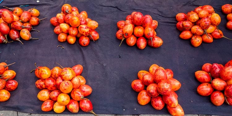 tomato peru