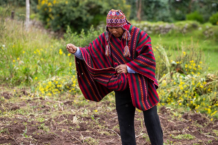 Peruvian clothing of the Andes ponchos