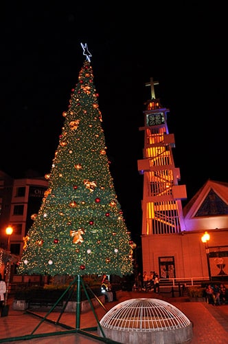 christmas in ecuador tree