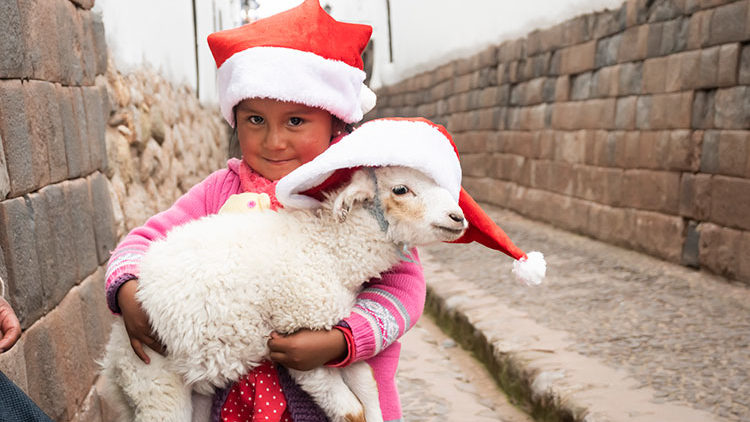 Celebrate Christmas in South America – Peru!!