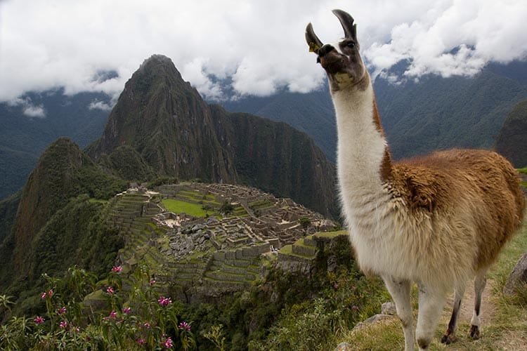 strange Machu Picchu adventures