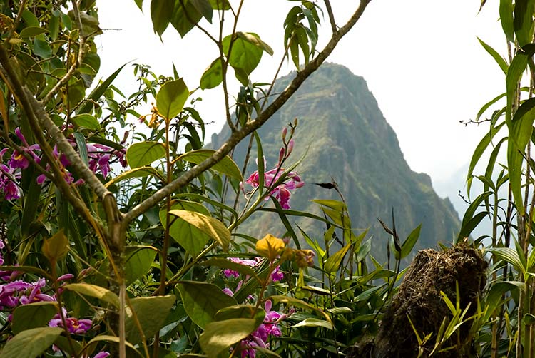 strange Machu Picchu adventures