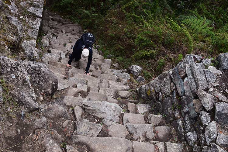 inca trail