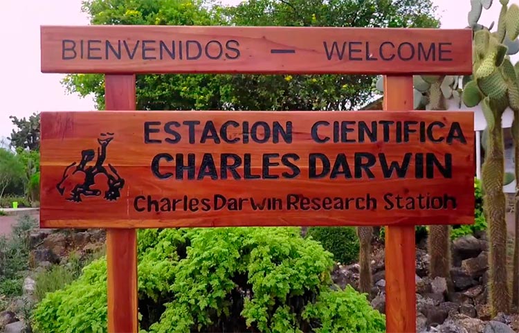 Charles Darwin estation 